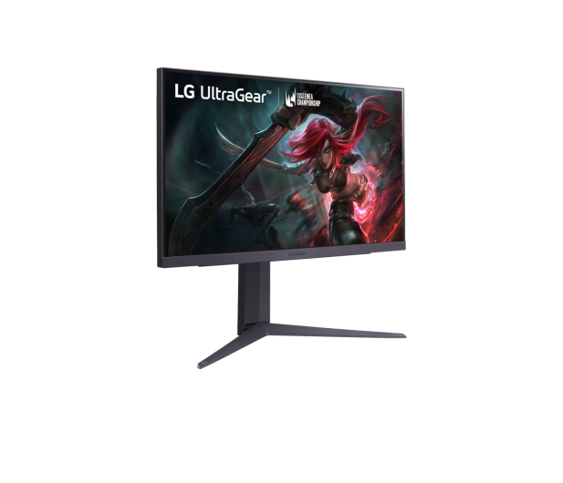 LG UltraGear 25GR75FG-B - 1165822 - zdjęcie 2